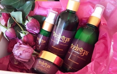 Self-care Activist Community Workshop